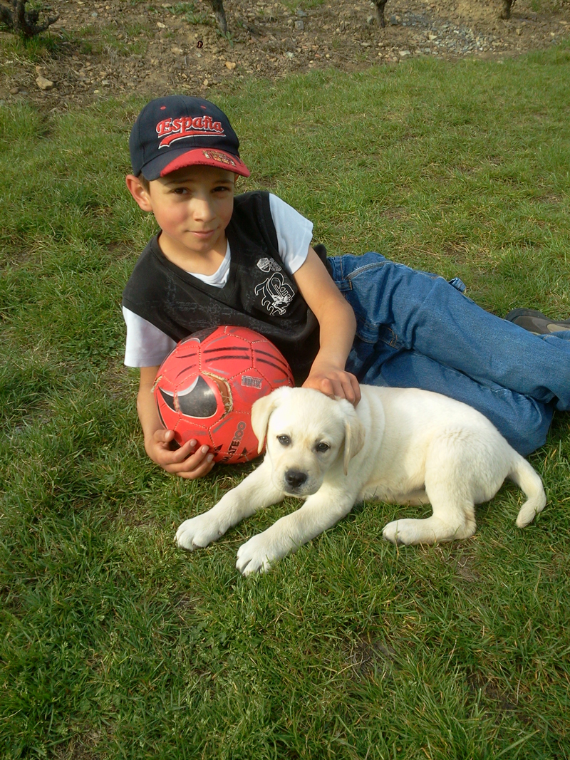 Caninéo Éducation - Prestation enfants